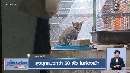 ลุงซุกแมวกว่า 20 ตัว ในห้องพัก จ.นนทบุรี