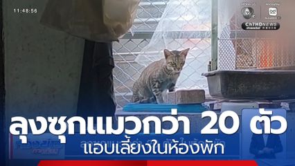 ลุงซุกแมวกว่า 20 ตัว ในห้องพัก จ.นนทบุรี