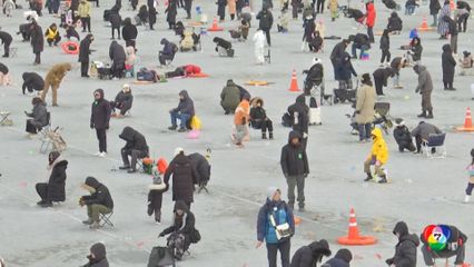 เกาหลีใต้แข่งจับปลามือเปล่า กลางลำธารน้ำแข็ง