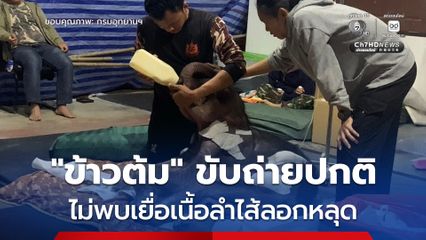 ลูกช้างป่า “น้องข้าวต้ม” อาการดีขึ้น ขับถ่ายเป็นปกติ แต่ยังต้องเฝ้าระวังตลอด 24 ชั่วโมง