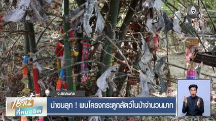 น่าขนลุก ! พบโครงกระดูกสัตว์ในป่าจำนวนมาก