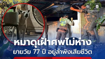 หมาดุหวงเจ้าของ เฝ้าศพไม่ห่าง ยายวัย 77 ปี อยู่ลำพังเสียชีวิต