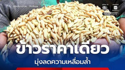 อินโดฯ เล็งใช้นโยบาย ข้าวราคาเดียว ในปี 2026 มุ่งลดความเหลื่อมล้ำ