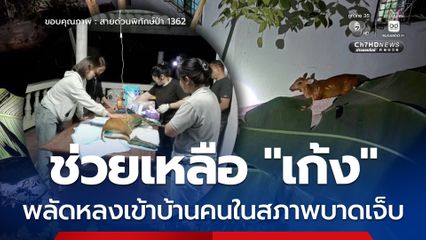 ช่วยเหลือ “เก้ง” พลัดหลงเข้าบ้านคนในสภาพบาดเจ็บ