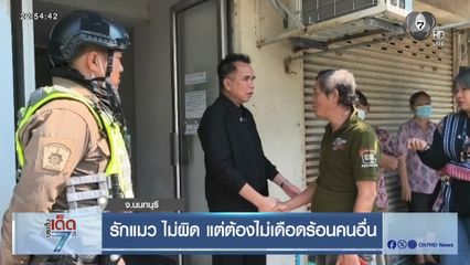 รักแมว ไม่ผิด แต่ต้องไม่เดือดร้อนคนอื่น