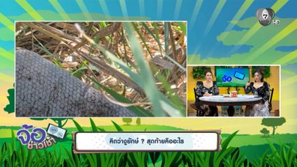 คิดว่างูยักษ์ ? สุดท้ายคืออะไร