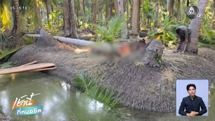ตัดต้นมะพร้าว แต่พลาดถูกลำต้นกระแทกเสียชีวิต