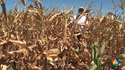 นักวิทยาศาสตร์ชี้ ปี 2568 โลกร้อนติดสถิติอันดับ 3