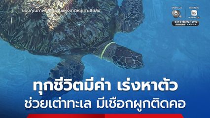 ทุกภารกิจสำคัญ ! เจ้าหน้าที่ อช.หมู่เกาะสิมิลัน เร่งหาตัวให้การช่วยเหลือ “เต่าทะเล” มีเชือกผูกติดคอ