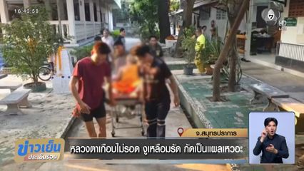 หลวงตาเกือบไม่รอด งูเหลือมรัด กัดเป็นแผลเหวอะ