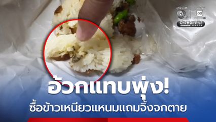 อ้วกแทบพุ่ง ซื้อข้าวเหนียวแหนมแถมจิ้งจกตาย
