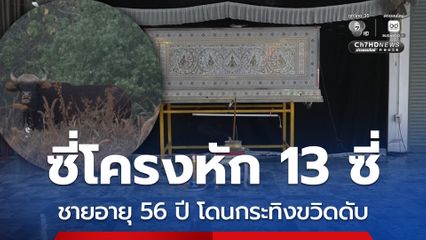 ซี่โครงหัก 13 ซี่ ชายอายุ 56 ปี โดนกระทิงขวิดดับ