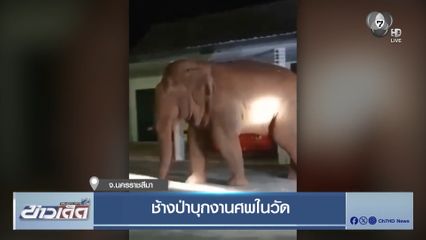 ช้างป่าบุกงานศพในวัด