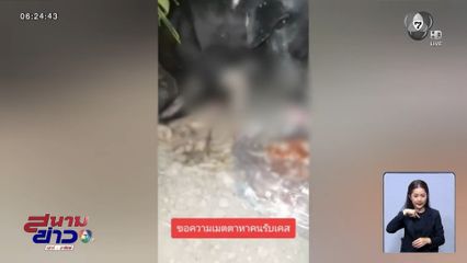 ช่วยหมาจรจัด ถูกรถทับขาขาด