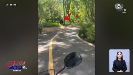 รถ จยย.เบรกไม่อยู่ พุ่งตกเขา จ.นครศรีธรรมราช