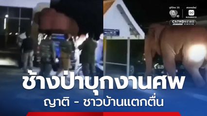 ช้างป่าเขาใหญ่ บุกงานศพ หาของกิน ญาติ-ผู้มาร่วมงาน แตกตื่น