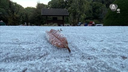 ดอยอินทนนท์เหมยขาบ 2 วันต่อเนื่อง จ.เชียงใหม่