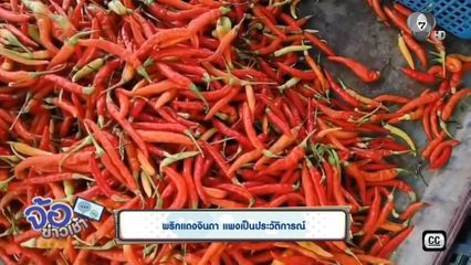 พริกแดงจินดา แพงเป็นประวัติการณ์