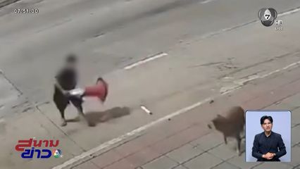 ตามหาเด็กเกเร ลักขโมย-รังแกหมา