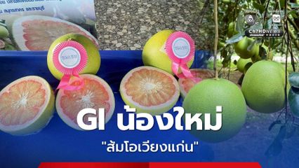 ประกาศ “ส้มโอเวียงแก่น” เป็น GI น้องใหม่ ดัน “เชียงราย”