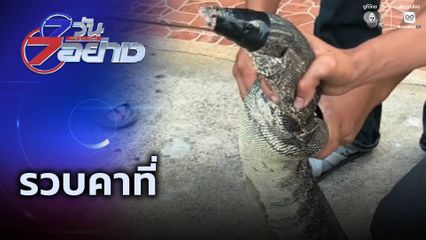 7 วัน 7 อย่าง : รวบคาที่