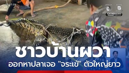 ชาวบ้านผวา เจอจระเข้ตัวใหญ่ยาว โผล่ลอยคอในคลองส่งน้ำ 