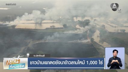 ชาวบ้านเผาตอซังนาข้าวลามไหม้ 1,000 ไร่