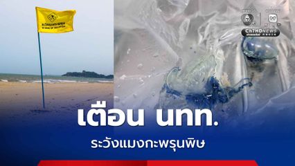 เทศบาลนครสงขลา เตือนเพิ่มความระมัดระวังแมงกะพรุนพิษ