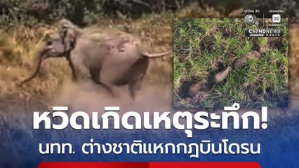 หวิดเกิดเหตุระทึก! นทท. ต่างชาติ ฝ่าฝืนบินโดรน ทำช้างเขาใหญ่แตกโขลง วิ่งกระเจิงเข้าป่า