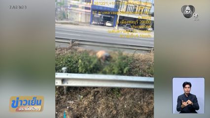 นึกว่าตาย ที่แท้เมาหลับบนเกาะกลางถนน