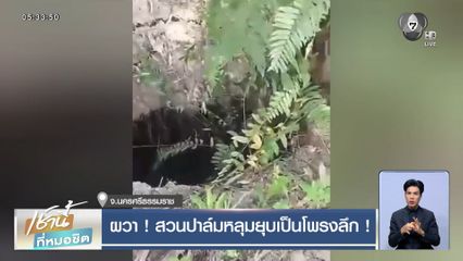 ผวา ! สวนปาล์มหลุมยุบเป็นโพรงลึก !