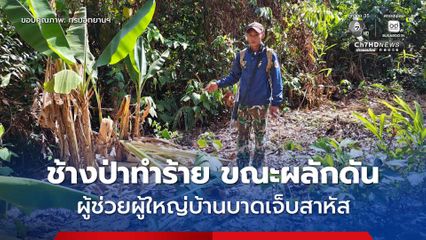 ผู้ช่วยผู้ใหญ่บ้านบาดเจ็บสาหัส ถูกช้างป่าทำร้าย ขณะปฏิบัติหน้าที่ผลักดันช้างป่า