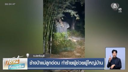 ช้างป่าแม่ลูกอ่อน ทำร้ายผู้ช่วยผู้ใหญ่บ้าน จ.ปราจีนบุรี