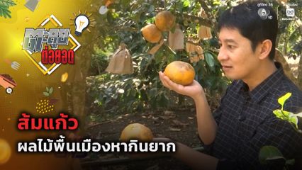 ตะลุยต่อยอด : ส้มแก้ว ผลไม้พื้นเมืองหากินยาก