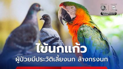 ไข้นกแก้ว หญิงไทยป่วย มีประวัติเลี้ยงนกในที่อากาศไม่ถ่ายเท