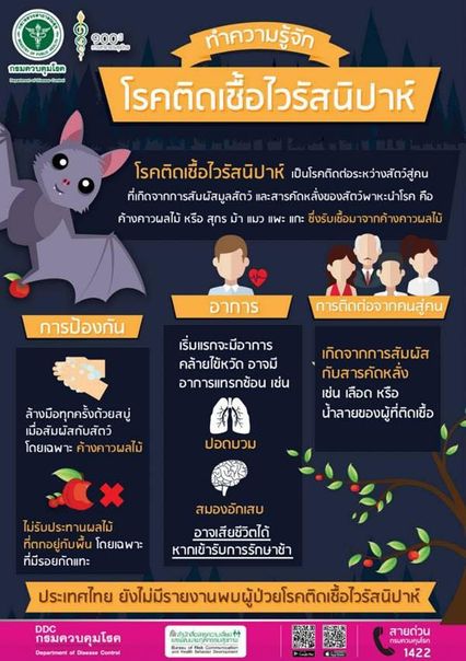 เฝ้าระวังไวรัสนิปาห์ คาดระบาดในวงแคบ ไม่ไปไกลทั่วโลก