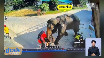นาทีระทึก ! ช้างเตลิด ไล่เตะรถ ATV