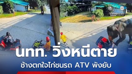 นทท. วิ่งหนีตาย ช้างตกใจไก่ชนรถ ATV พังยับ