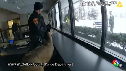 ตำรวจไล่ต้อนกวางบุกธนาคาร ในสหรัฐฯ