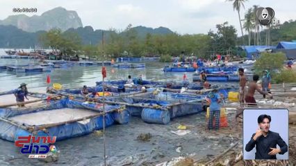 ฤดูทำเงินของชาวประมงพื้นบ้าน จ.กระบี่