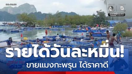ฤดูทำเงินของชาวประมงพื้นบ้าน จ.กระบี่