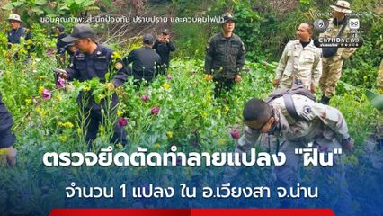 เจ้าหน้าที่หลายหน่วยงานสนธิกำลังเข้าตรวจยึด-ตัดทำลายแปลง “ฝิ่น” ในพื้นที่ อ.เวียงสา จ.น่าน