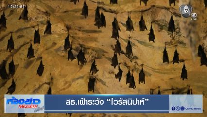 สธ.เฝ้าระวัง "ไวรัสนิปาห์"