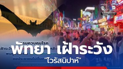 ชาวพัทยา เฝ้าระวัง "ไวรัสนิปาห์"