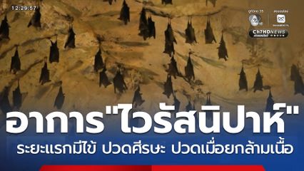 สธ.เฝ้าระวัง "ไวรัสนิปาห์"