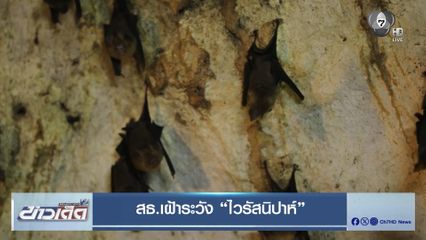 สธ.เฝ้าระวัง “ไวรัสนิปาห์”