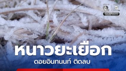 ดอยอินทนนท์หนาวยะเยือก จนมีเหมยขาบ