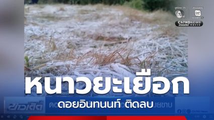 ดอยอินทนนท์หนาวยะเยือก จนมีเหมยขาบ