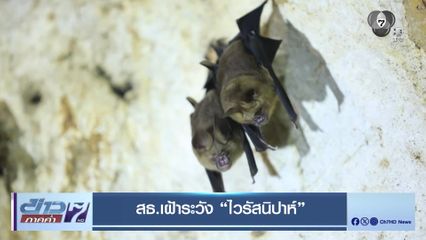 สธ.เฝ้าระวัง “ไวรัสนิปาห์”