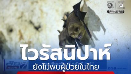 สธ.เฝ้าระวัง “ไวรัสนิปาห์”